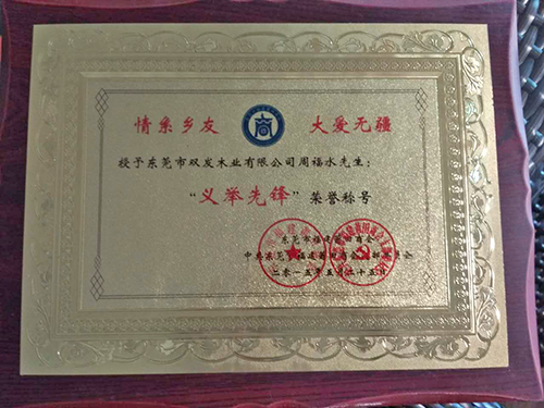 義舉先鋒稱(chēng)號(hào)證書(shū)